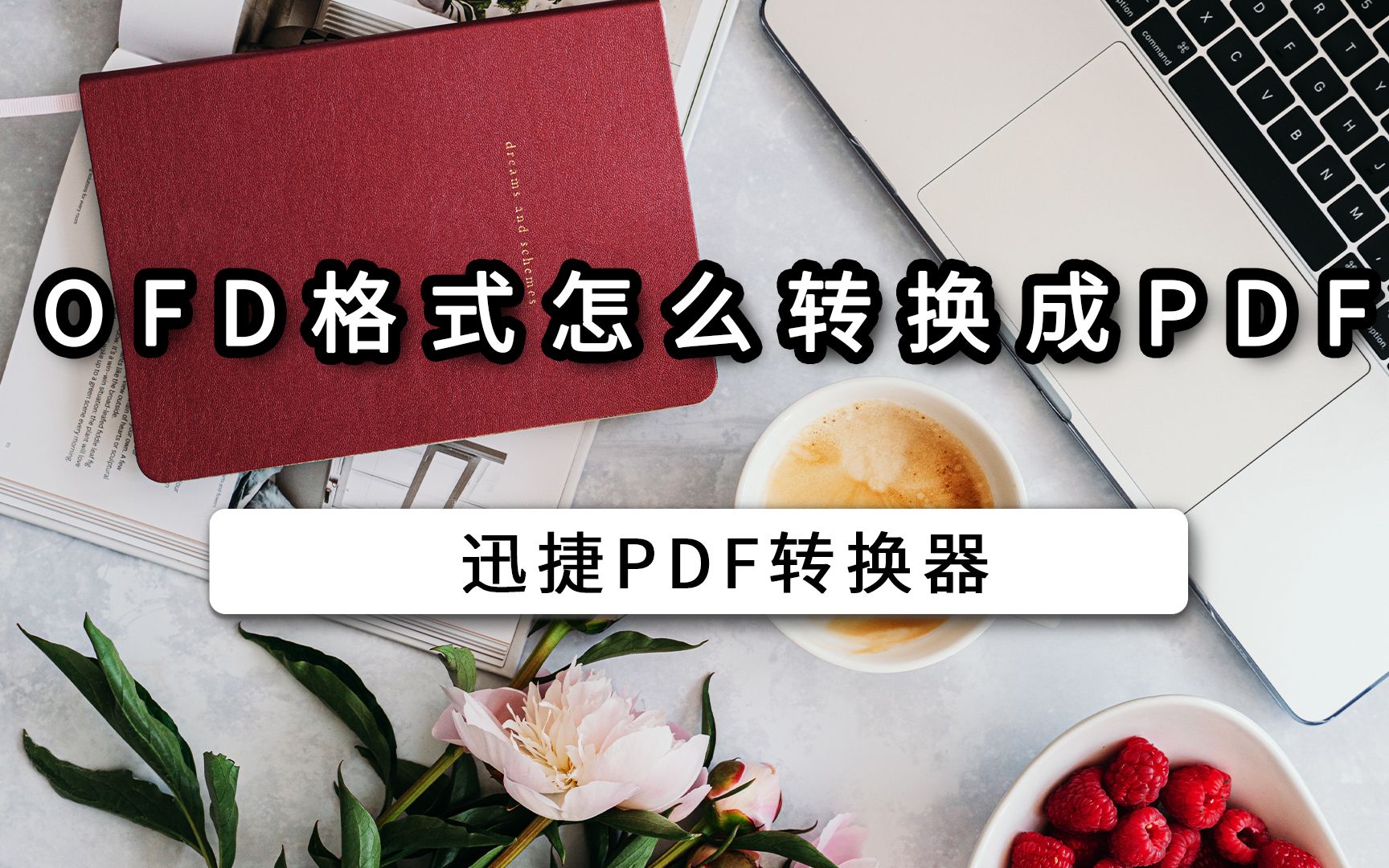 OFD格式怎么转换成PDF哔哩哔哩bilibili