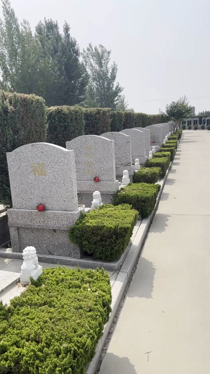 天津静海墓地6800图片