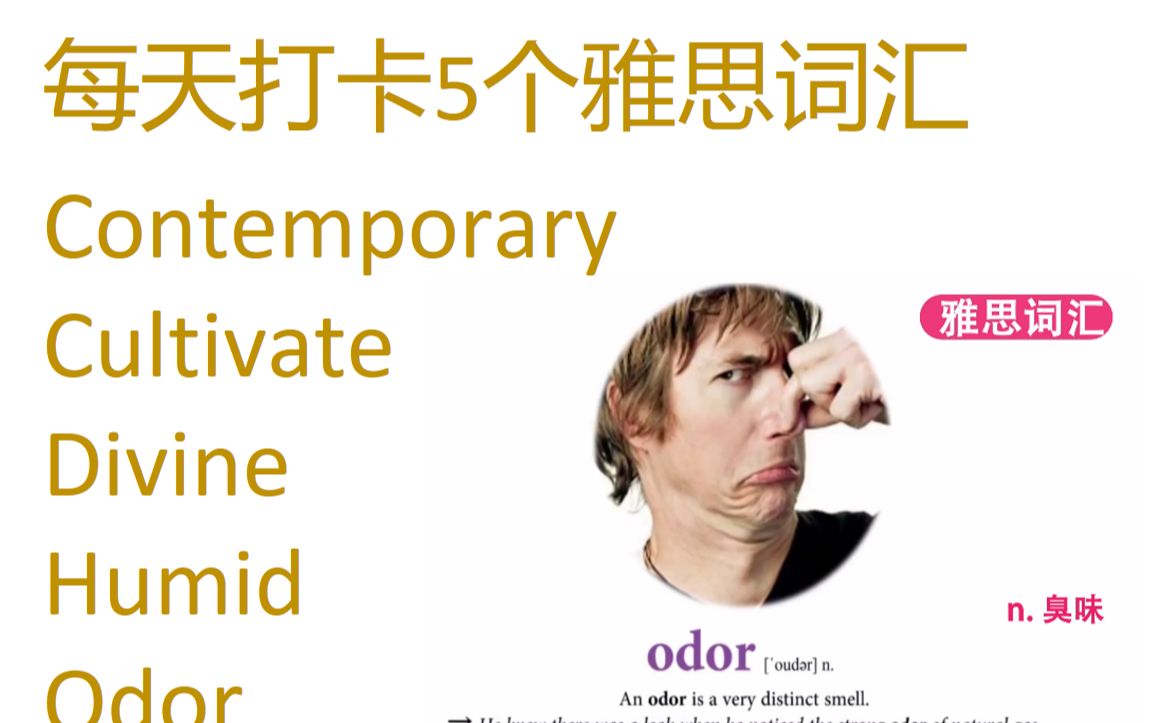 每天打卡5个雅思词汇 contemporary cultivate, divine, humid, odor.哔哩哔哩bilibili