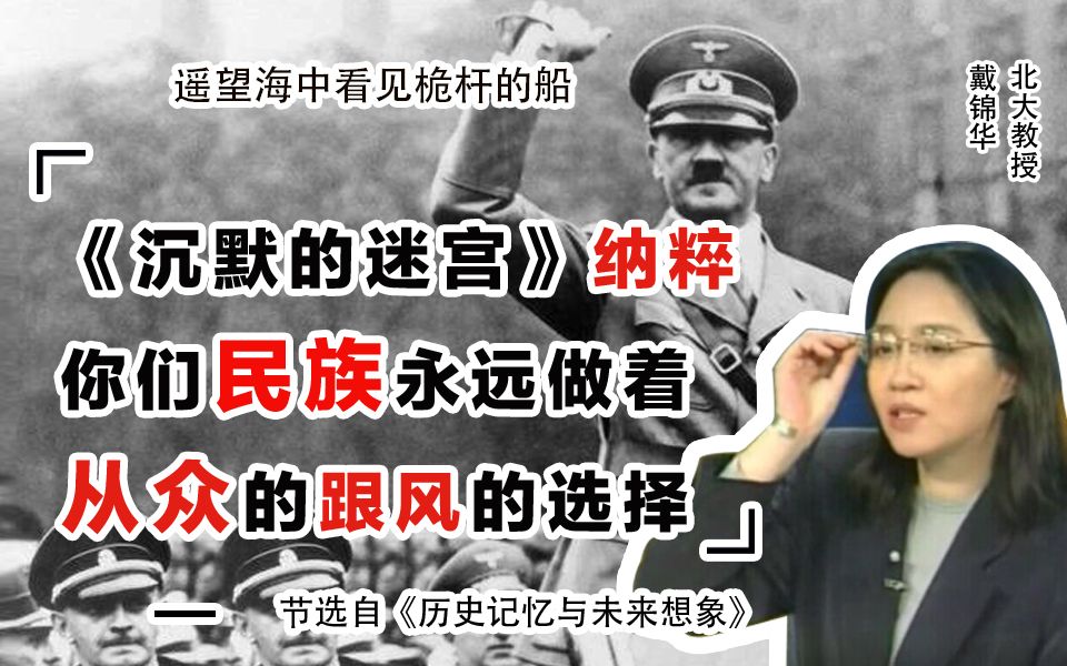 《沉默的迷宫》德国民族对纳粹暴行的刻意沉默:你们这个民族永远做着从众的跟风的选择,45年以后你们就都变成反纳粹的了 历史记忆7 戴锦华北大教授...