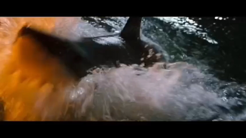 深海狂鲨,如此美女鲨鱼都迷糊!