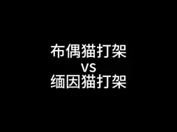 下载视频: 缅因打架跟闹着玩似的😂