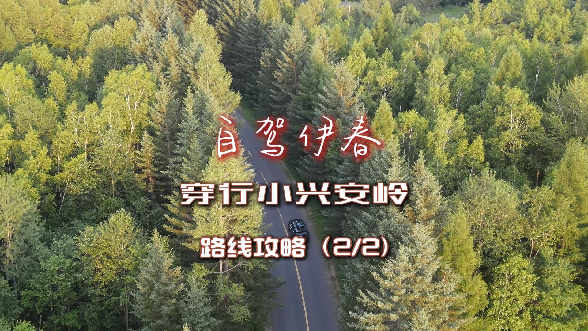 山林深处的经典路线,自驾伊春穿行小兴安岭路线攻略分享(2/2)哔哩哔哩bilibili