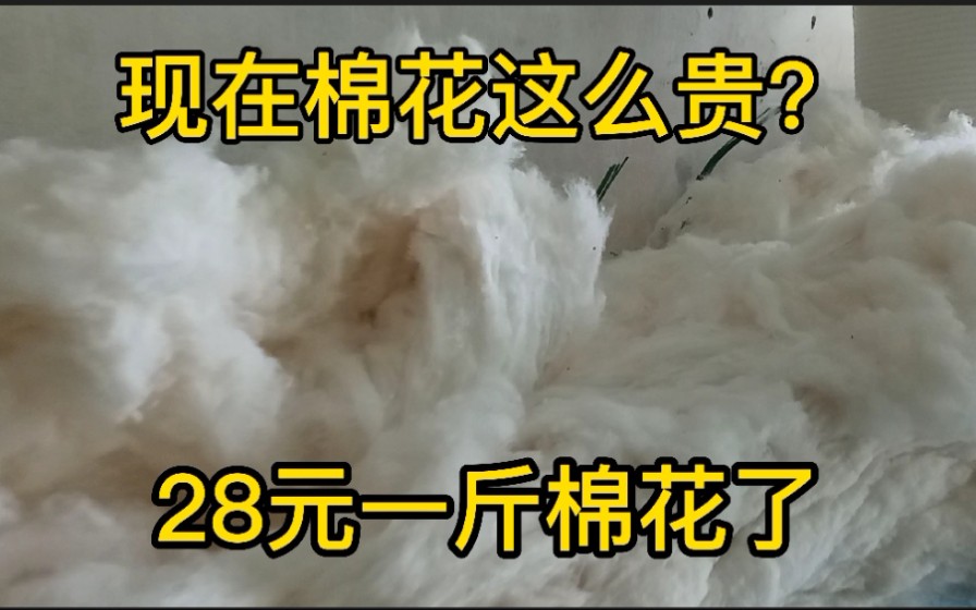 今天去做了一张手工棉被,棉花都要28元一斤了,你们那里多少哔哩哔哩bilibili