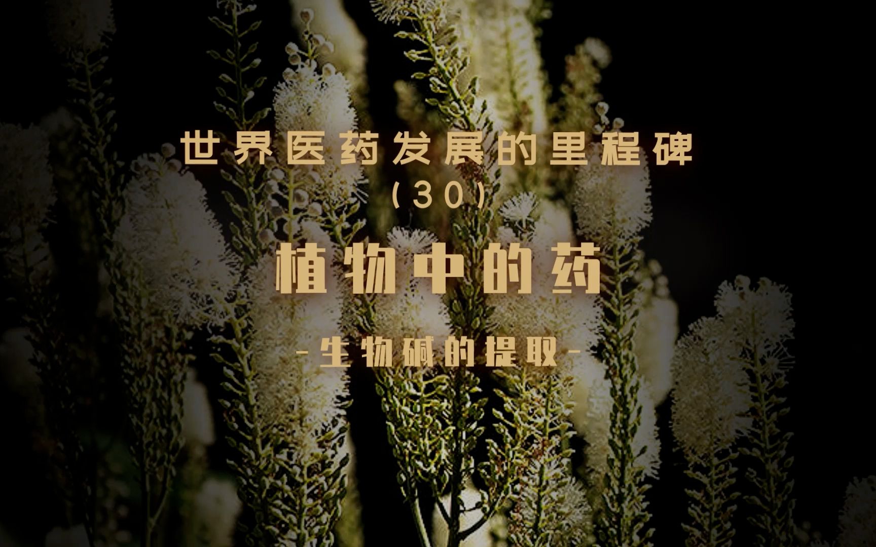 植物中的药生物碱的提取哔哩哔哩bilibili