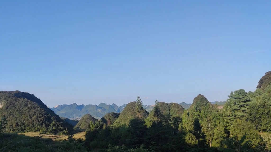 [图]空山鸟语 静渡这简单的春秋