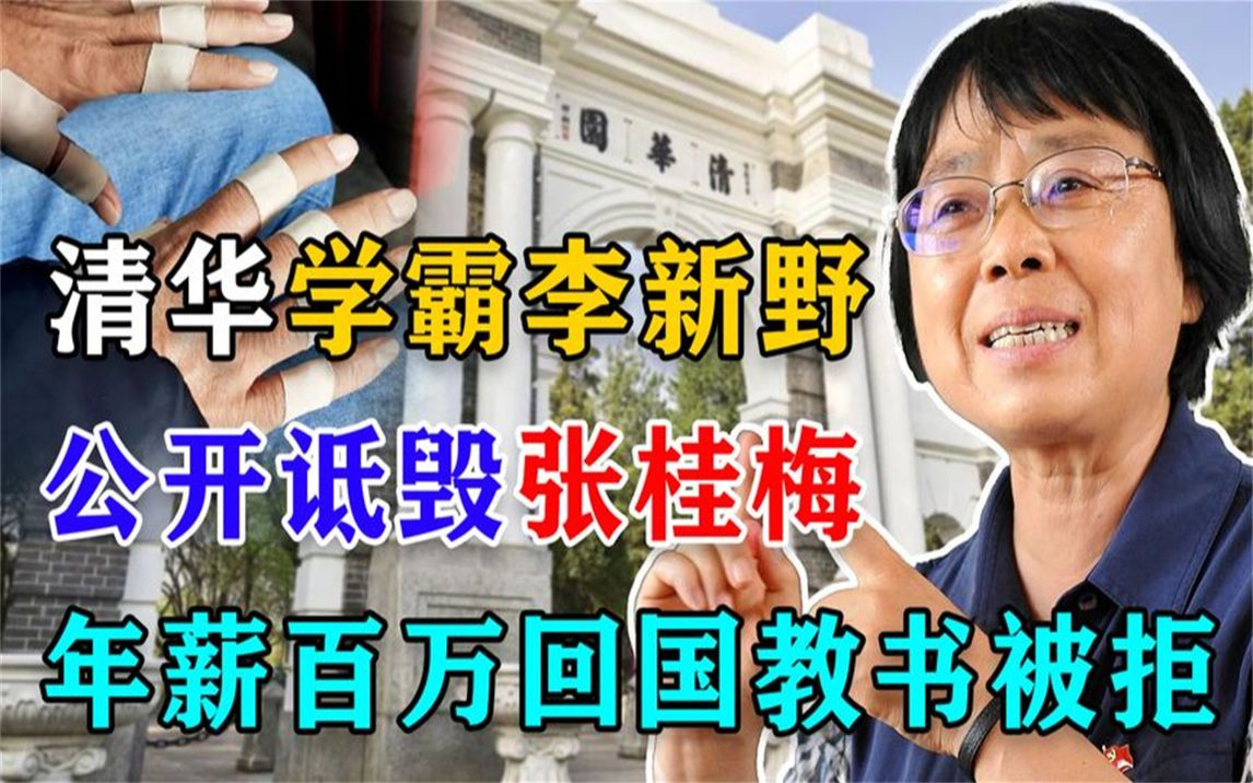 清华学霸李新野:公开诋毁张桂梅,如今弃百万年薪回国教书被拒!哔哩哔哩bilibili