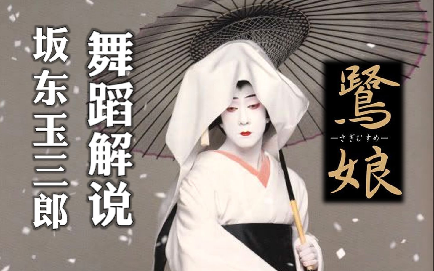 [图]坂东玉三郎【鹭娘】舞蹈欣赏&歌词解说｜Tamasaburo Bando "Sagi Musume" (Heron Maiden)｜坂東玉三郎