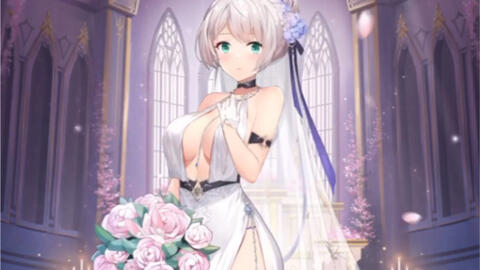 放置少女 姜維花嫁 哔哩哔哩