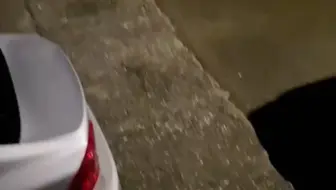 男子一个人钓鱼，碰到一只饿肚子的猫猫