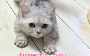 Descargar video: 虾仁猪心啊！张嘟嘟