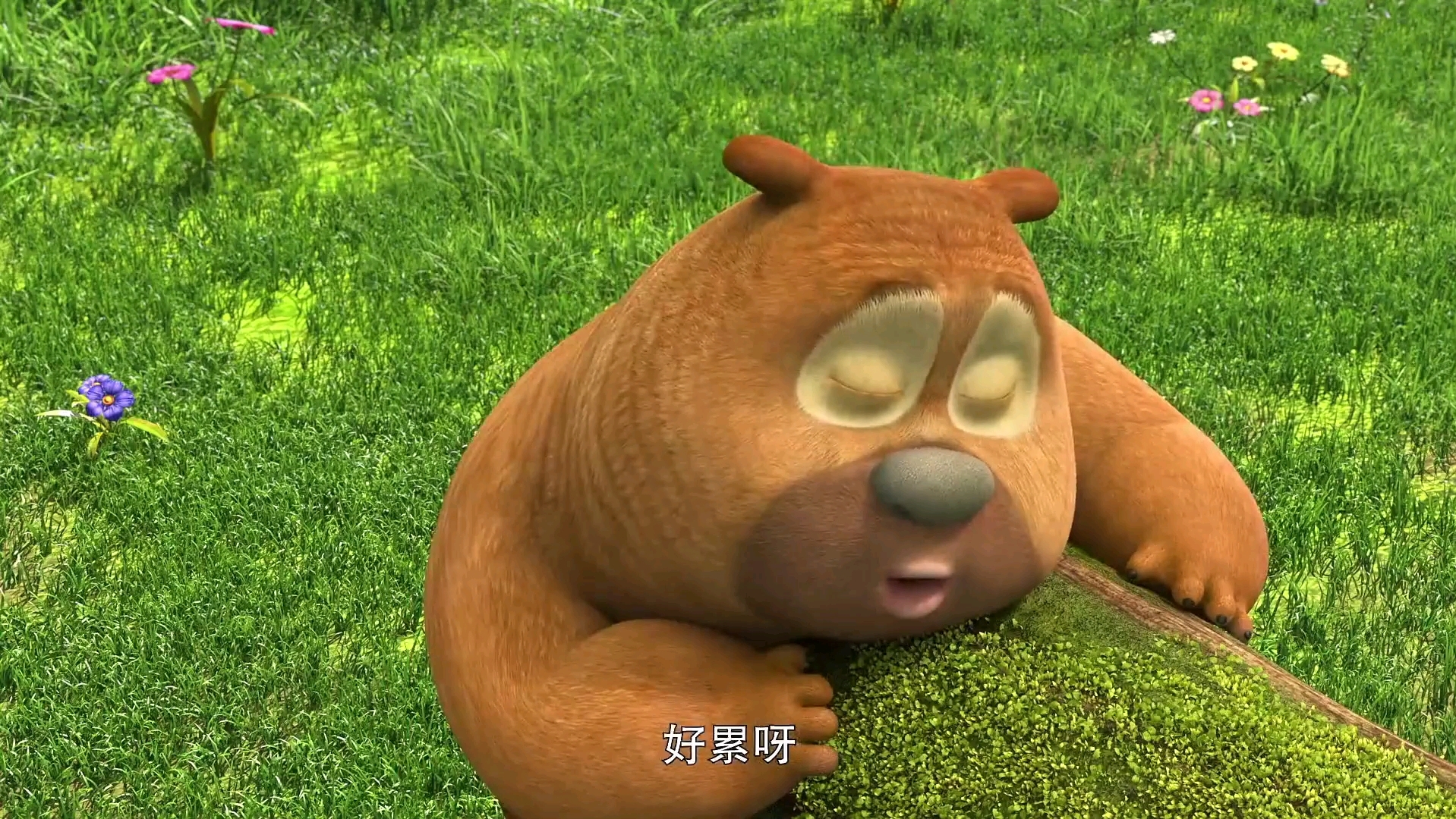 "熊二怎么能这么可爱,快来艾特朋友来看.