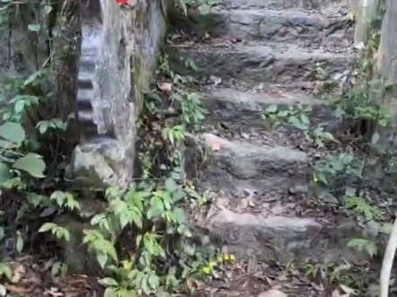 两宜寺一座位于湖南省邵阳市新邵县严塘镇的百年古寺.建于南宋初期,历史悠久!因年久失修哔哩哔哩bilibili