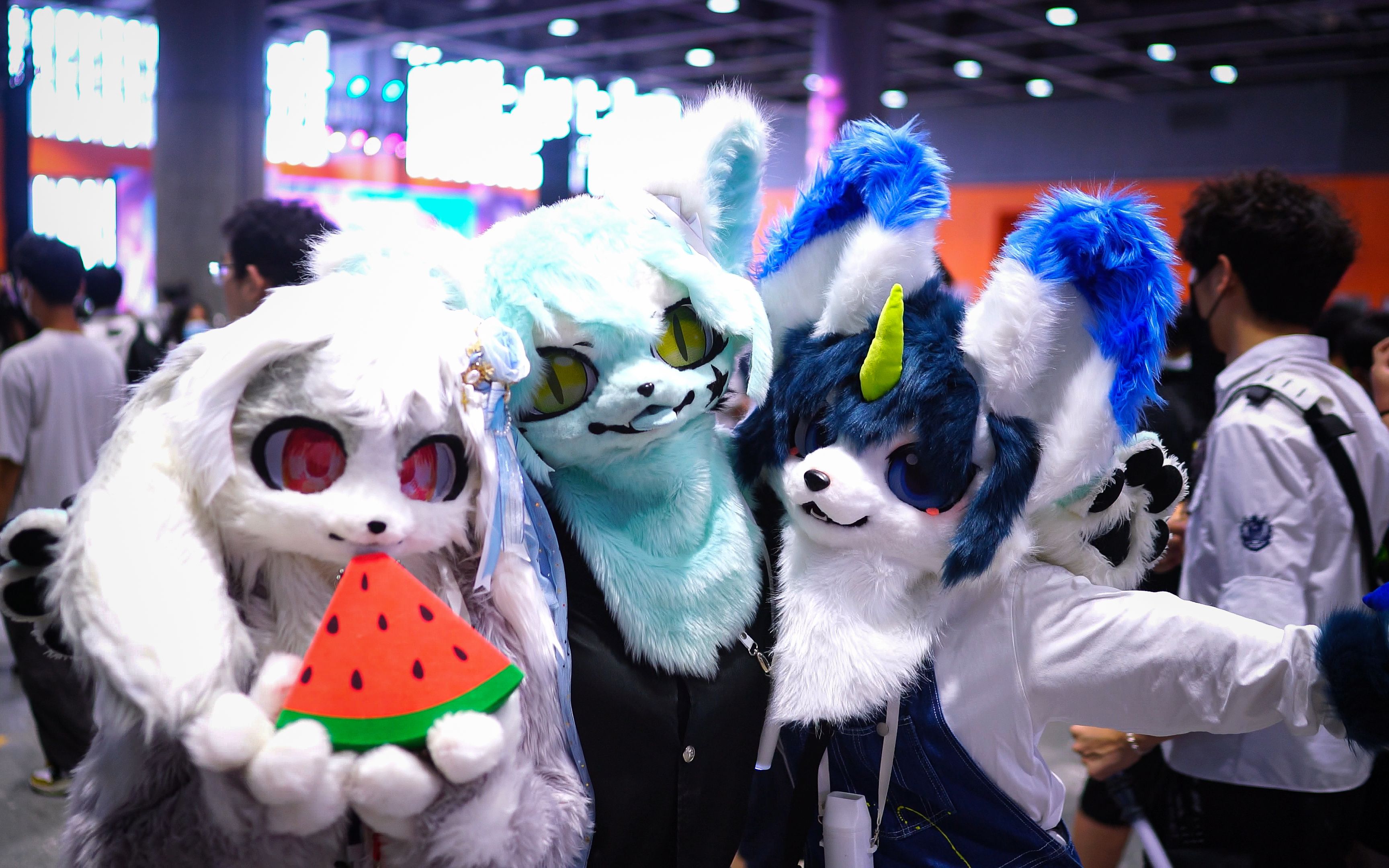 广州初物语漫展毛绒绒的福瑞