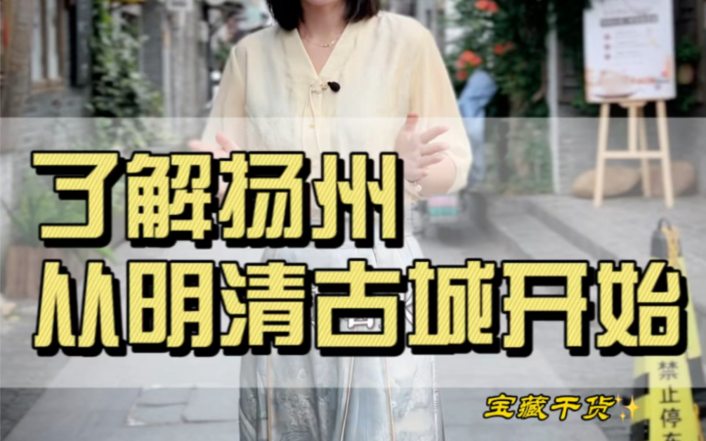 带你打卡扬州四大古街:东关街、仁丰里、南河下、皮市街,了解扬州要从明清古城开始#导游来了 #扬州旅游 #运河十二景#citywalk#涨知识 #扬州哔哩哔哩...