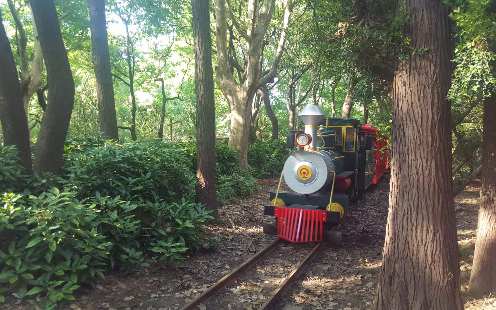 活动  【pov 23/公园铁路】上海共青森林公园森林小火车全程侧方展望