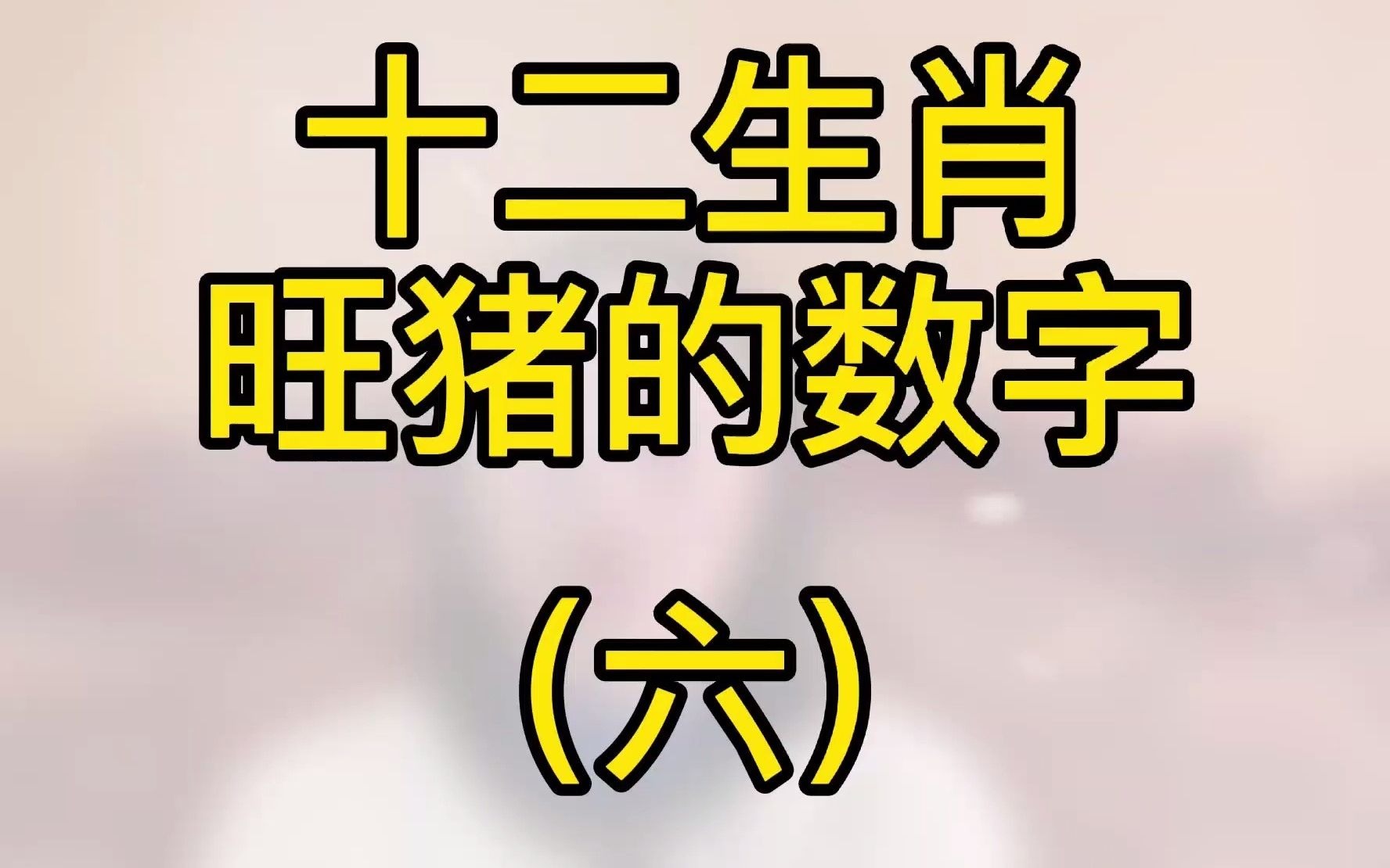 2021年生肖猪的吉祥数字_哔哩哔哩 (゜-゜)つロ 干杯~-bilibili