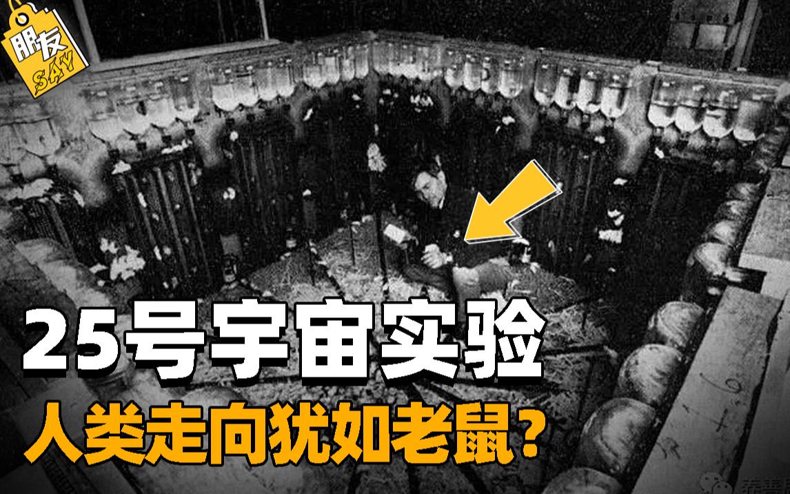 被隐藏的25号宇宙实验,历时5年模拟人类命运,结果引发社会恐慌