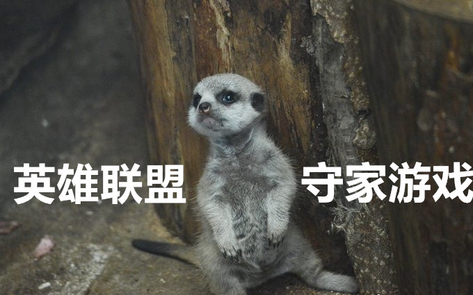 doinb直播19821季后赛期间的排位真滴难