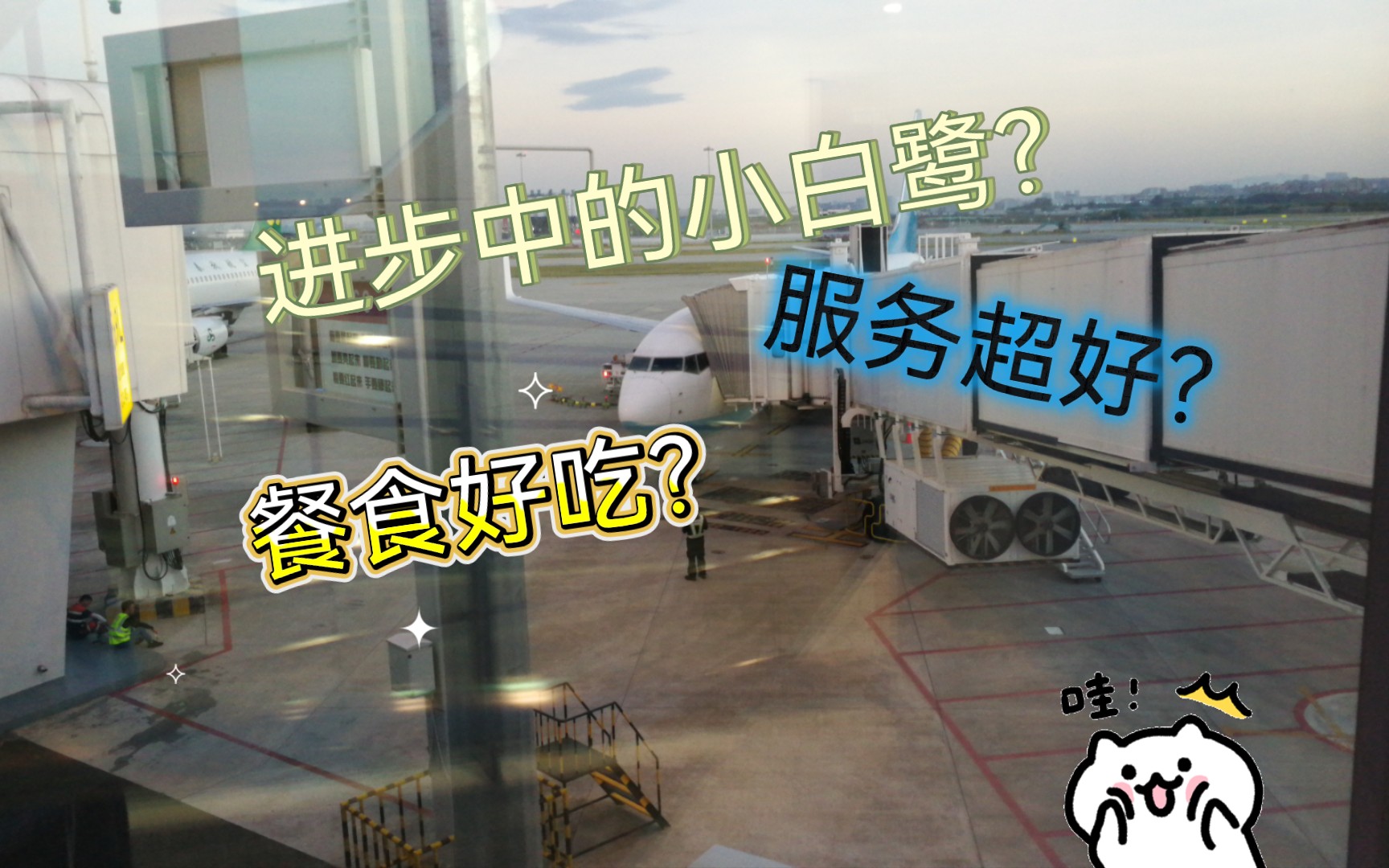 小白鹭最近怎么样呀?【九色航空Flight Vlog】厦门航空MF8589 MF889深圳→杭州→大阪哔哩哔哩bilibili