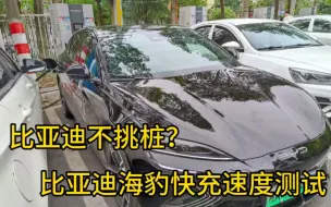 Télécharger la video: 比亚迪海豹第一次去小桔充电站快充，看看这充电速度，还行吗？