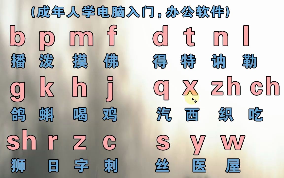 成人自学拼音打字教程,入门级汉语拼音拼读 简单好学哔哩哔哩bilibili