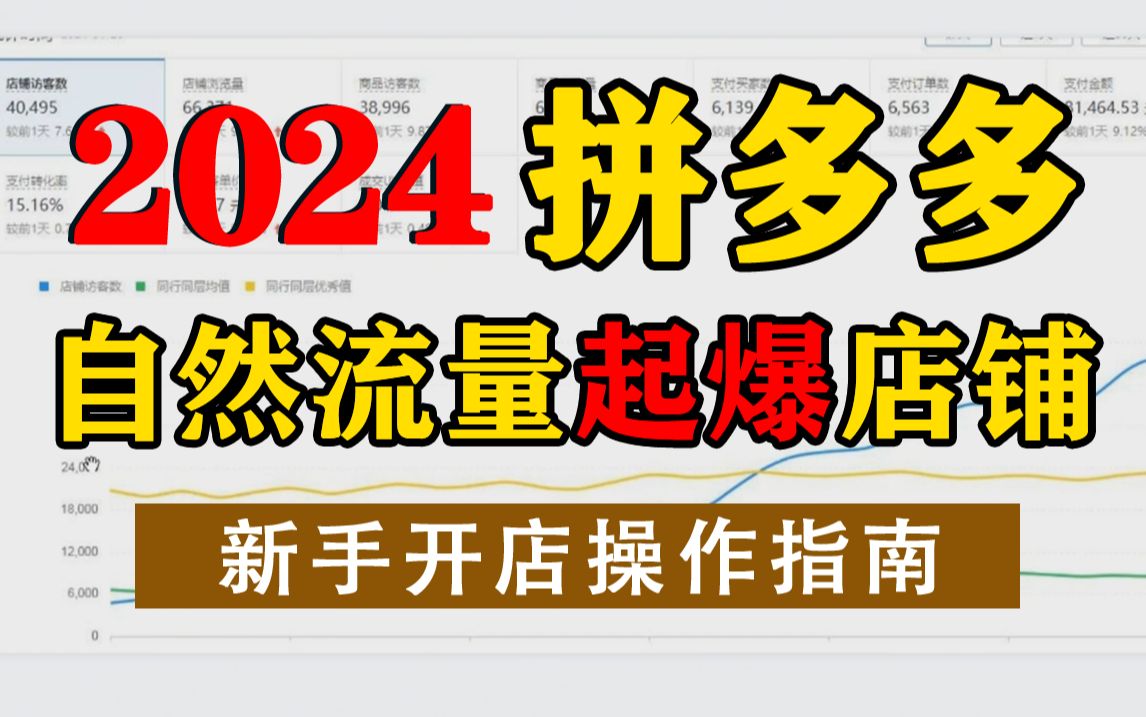 【拼多多运营】2024拼多多最新实操技巧,如何利用自然流量引爆店铺,新手开店拼多多运营实操教程!附带运营资料!哔哩哔哩bilibili