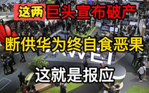 2家美企巨头官宣已破产,真相已经露出水面,断供华为终自食恶果哔哩哔哩bilibili