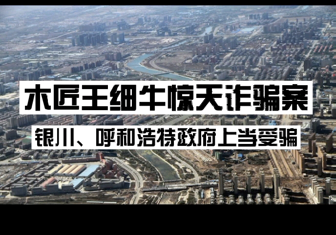 【林隐说大案】木匠王细牛惊天诈骗案:诈骗金额超十亿,银川、呼和浩特市政府上当受骗哔哩哔哩bilibili