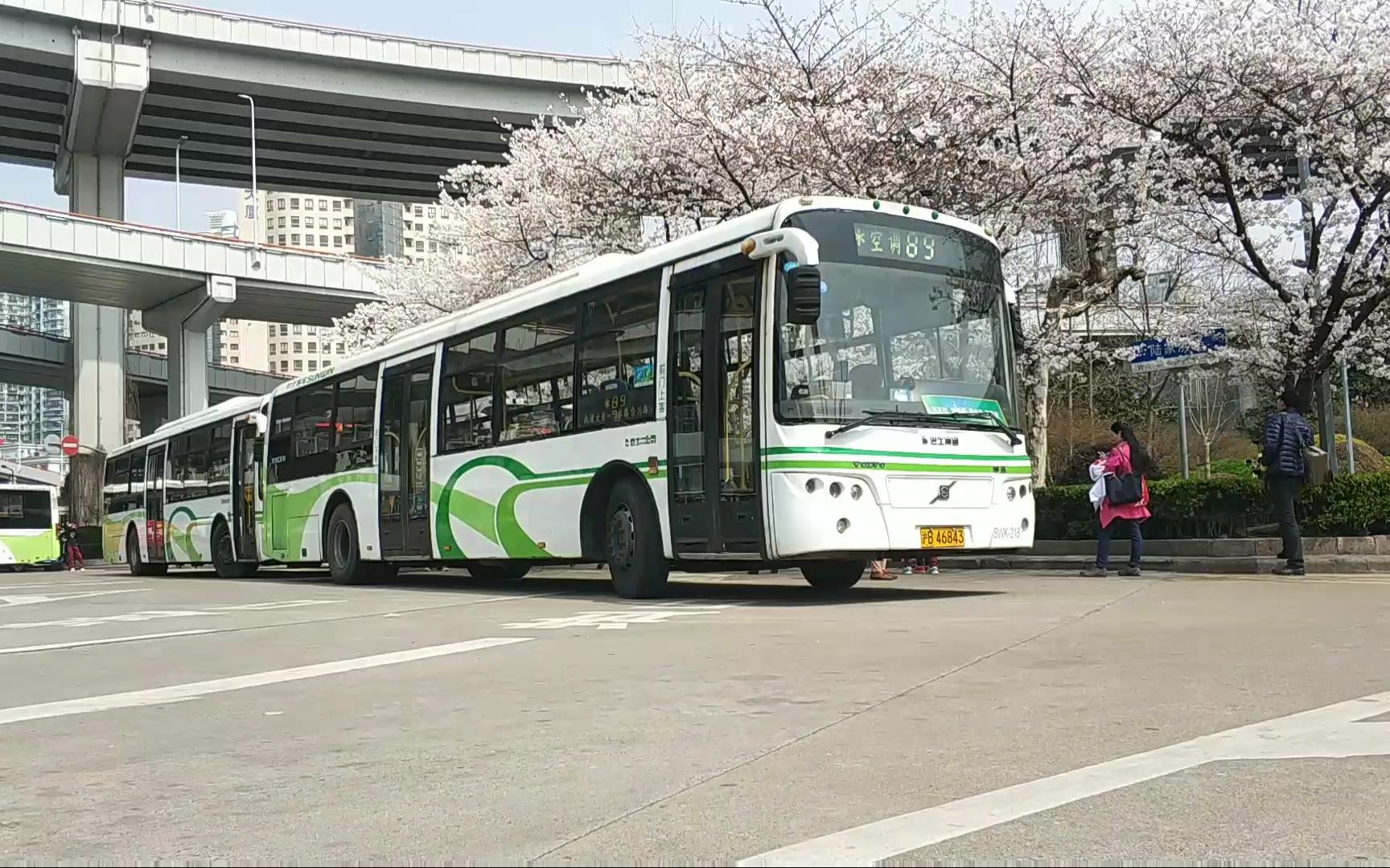 樱花开放时樱花下的南浦大桥公交站延时摄影