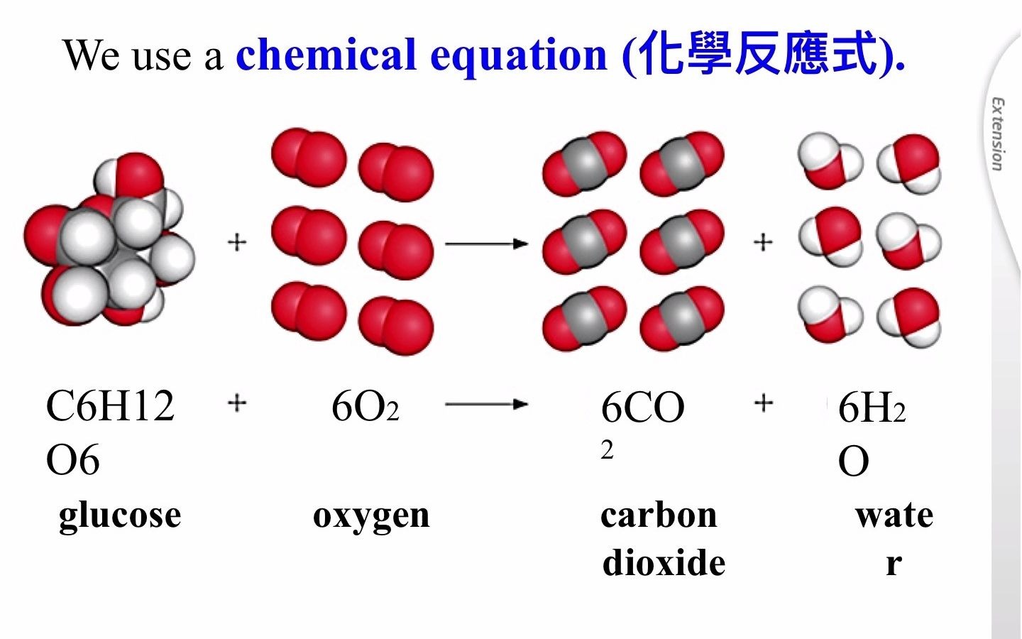 7.2 Respiration C part 呼吸作用的过程包含了哪些物质哔哩哔哩bilibili