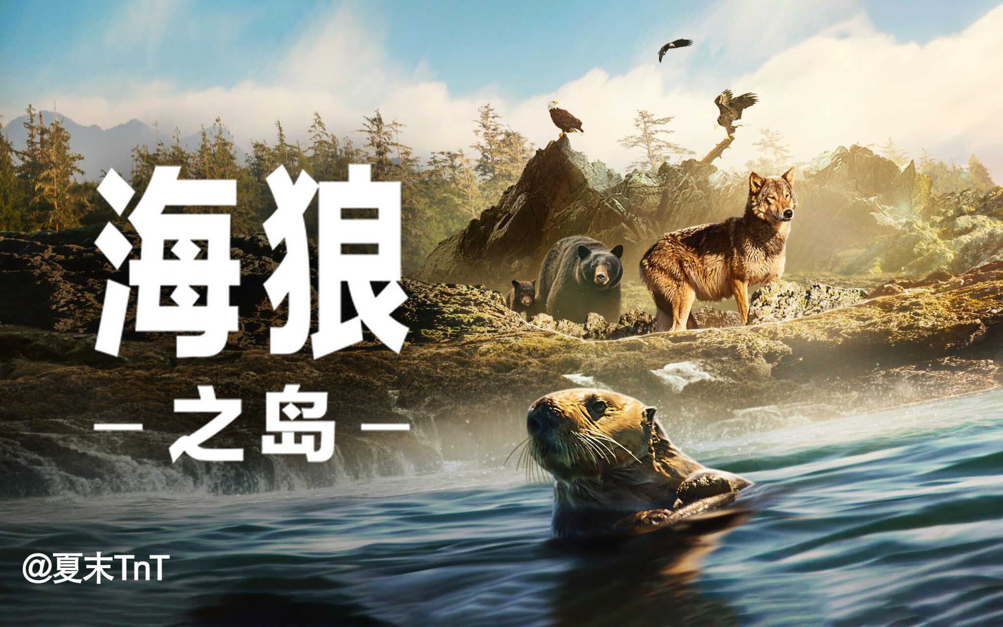 [图]海狼之岛 中英双语字幕 全3集 Island of the Sea Wolves