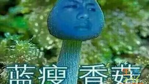 19 蓝瘦香菇の意味は 中国で爆発的人気になった 青キノコ君 の現在 China Nihongo Com
