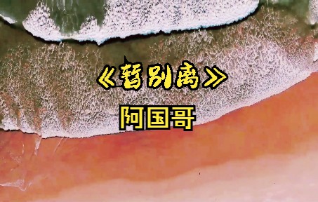 阿国哥《暂别离》完整版哔哩哔哩bilibili