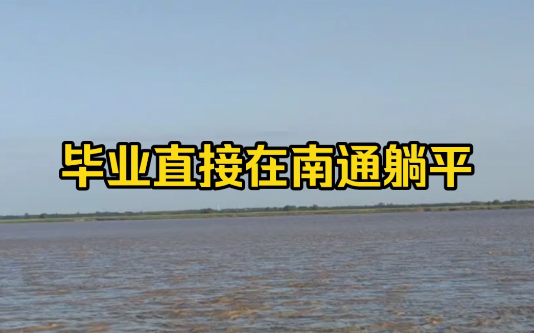 毕业找个小城市躺平,南通最宜居的城市?哔哩哔哩bilibili