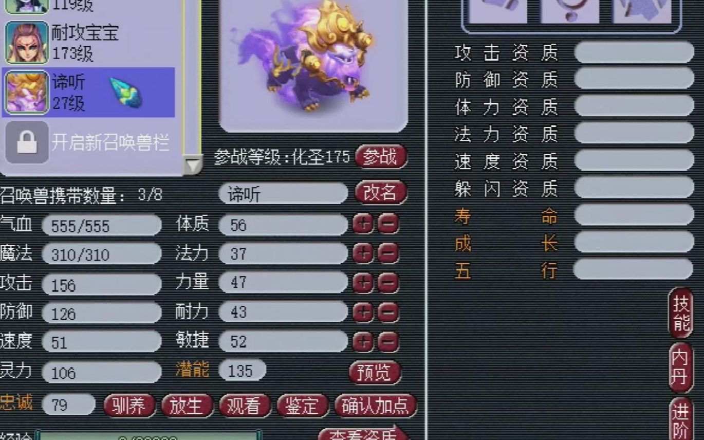 梦幻西游:"老王,快上号看看我这只谛听!"老王分析直呼奇葩!