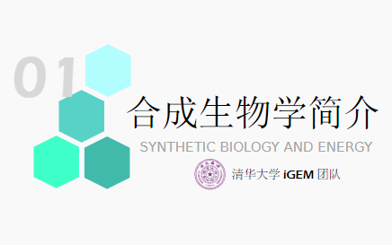 从零开始的合成生物学 | 简介与新应用哔哩哔哩bilibili