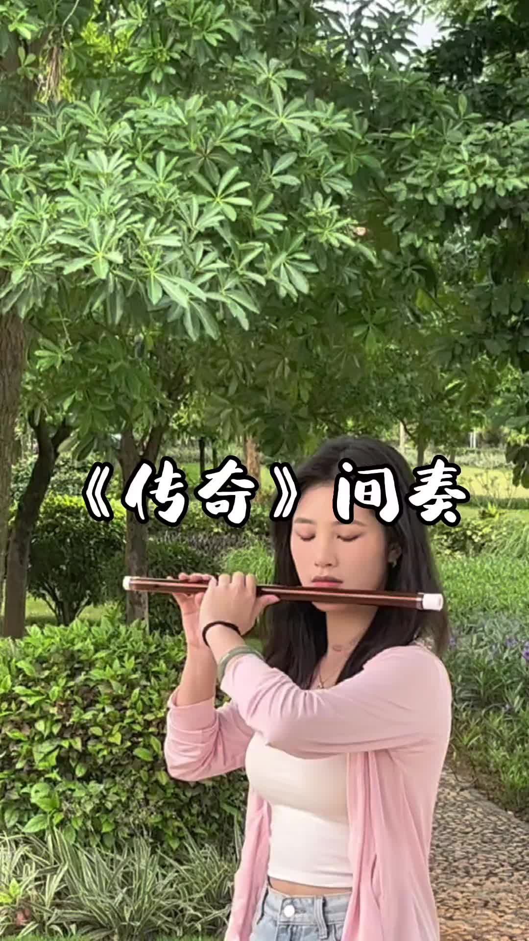 只是因为在人群中多看了你一眼笛子传奇王菲