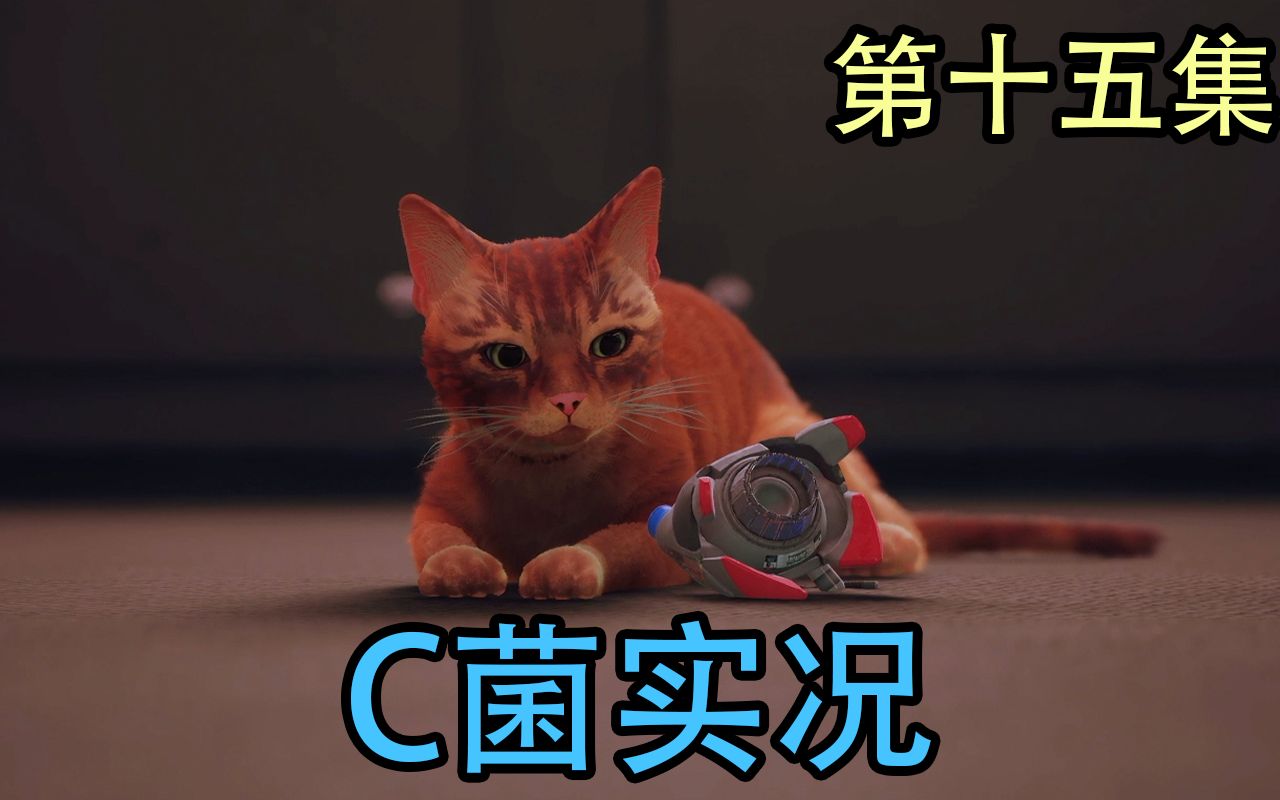 [图]《Stray》实况 第十五集 大结局