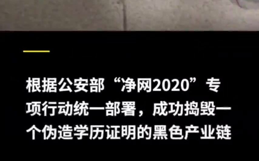 以假乱真?造假学历学位证书团伙被端:700多高校印章被伪造哔哩哔哩bilibili