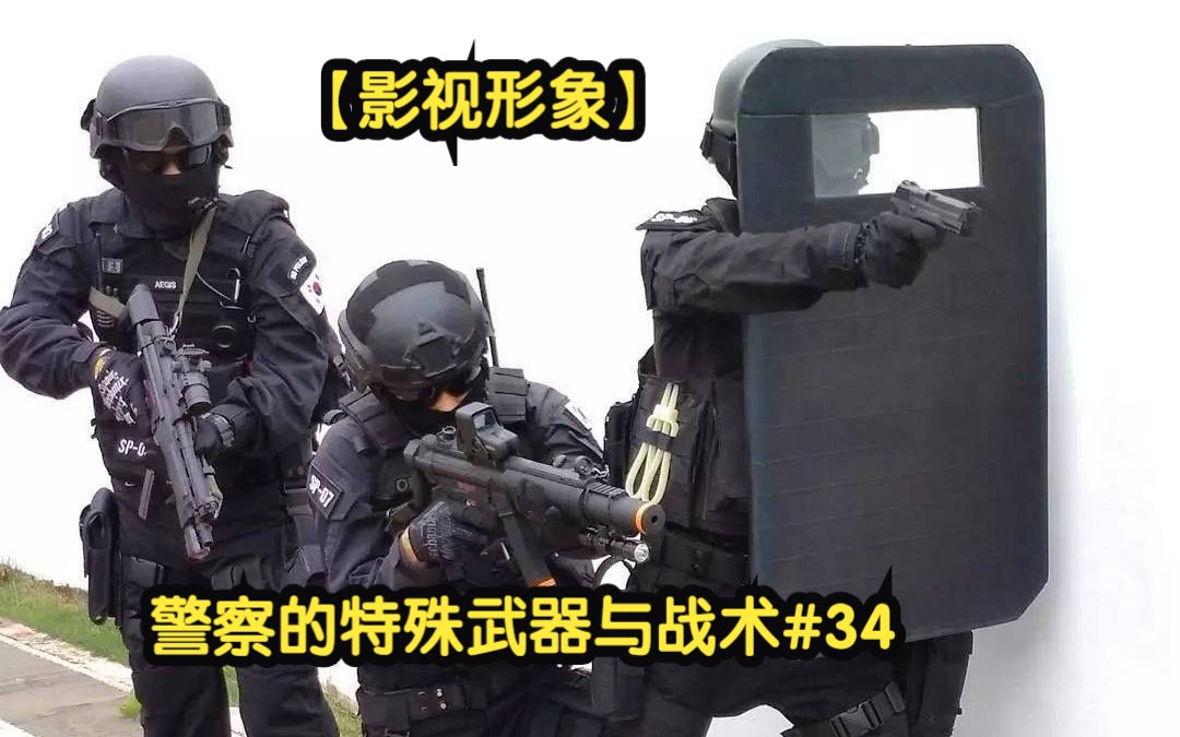 [图]警察的特殊武器与战术#34