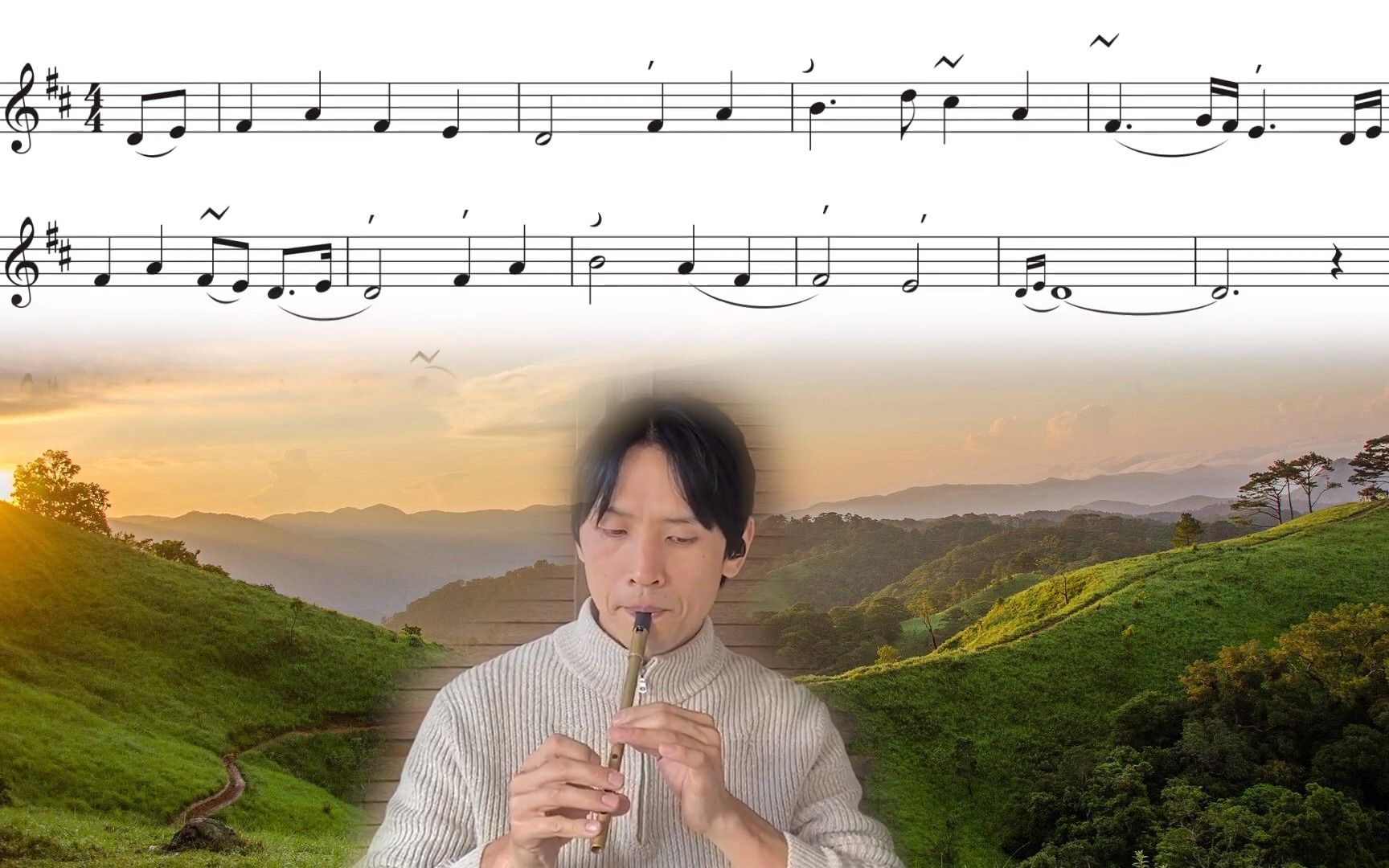 [图]哨笛 Play The Lord of the Rings Tune on the Tin Whistle