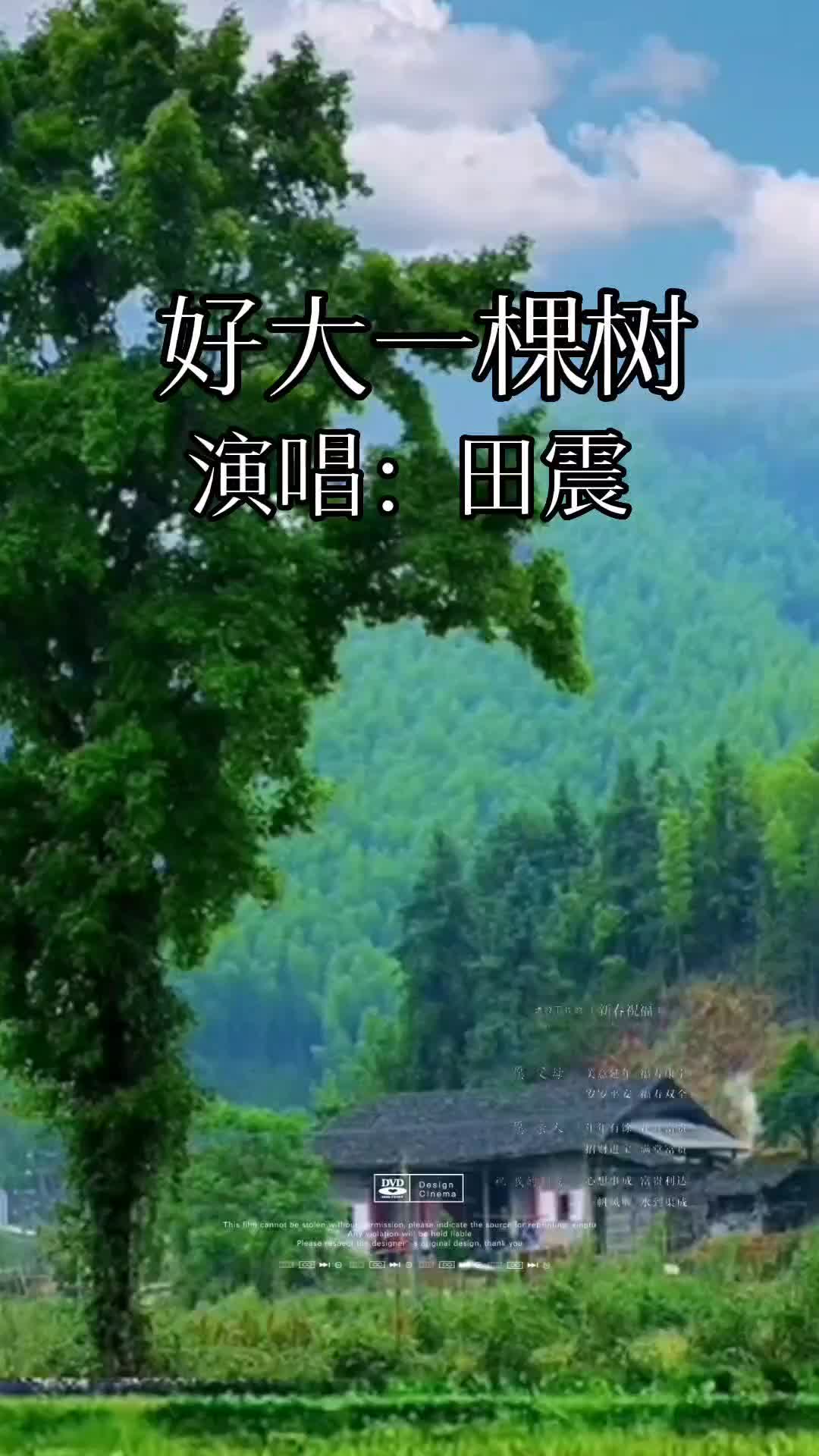 好大一棵树田震音乐分享经典老歌百听不厌的旋律