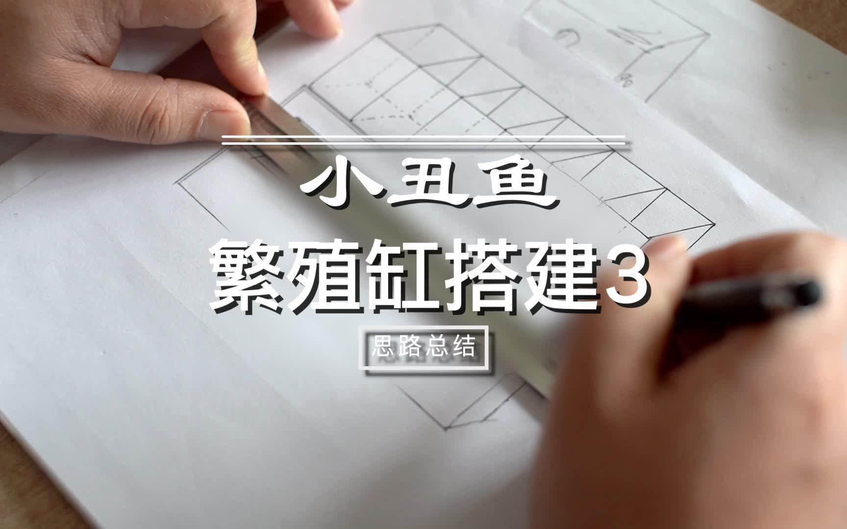 小丑鱼繁殖系统缸的设计理念