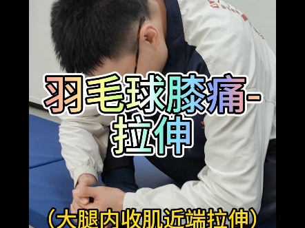 羽毛球膝痛拉伸#羽毛球 #李博士羽球 #李博士拉伸哔哩哔哩bilibili