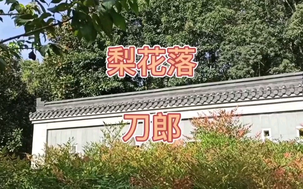 [图]刀郎专辑新歌《梨花落》梨花落 ，杏花开，烟雨里人流滚滚不见白马来