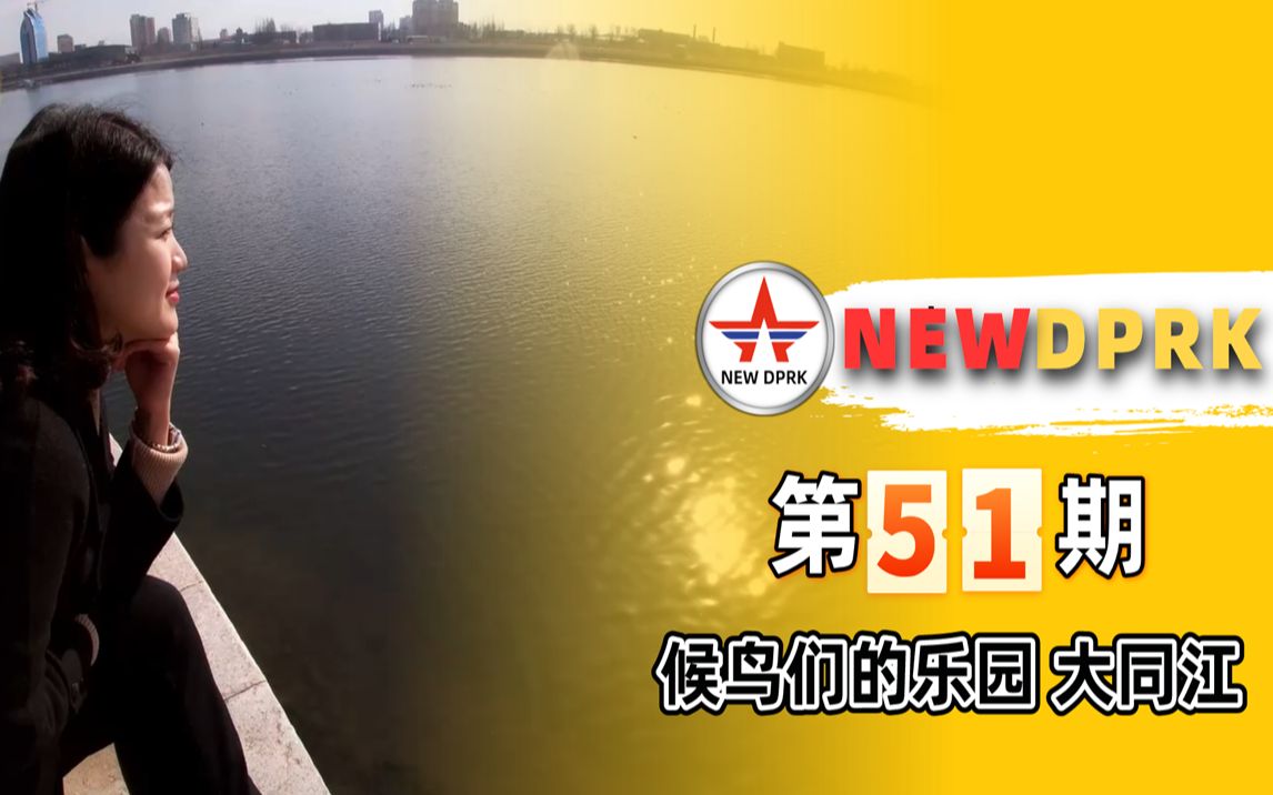 走进朝鲜第51期:候鸟们的乐园——大同江哔哩哔哩bilibili