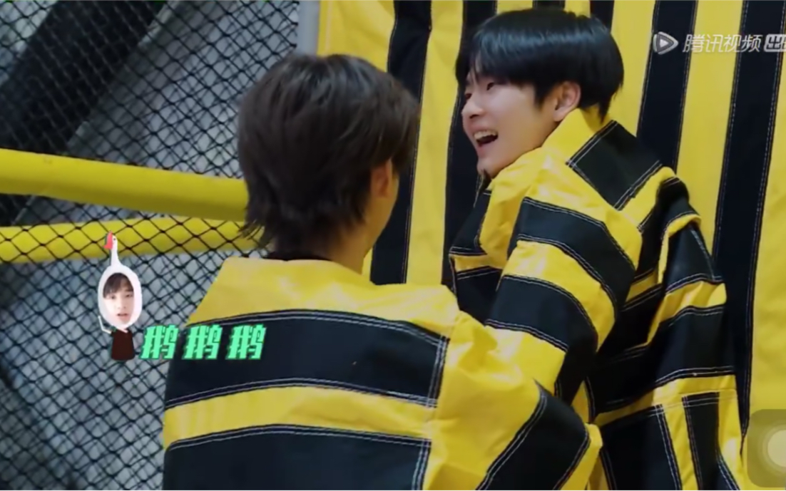 r1se蓄能季周震南焉栩嘉两只小蜜蜂