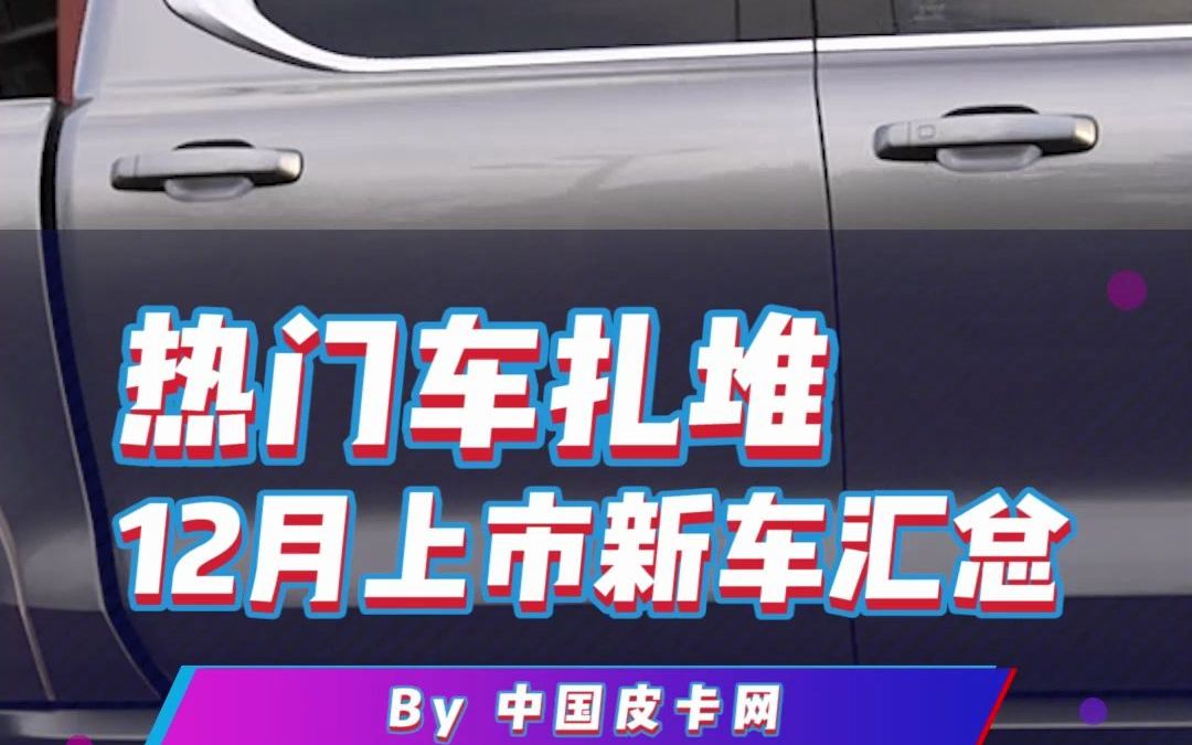 12月上市皮卡汇总:最低6万,最高30万哔哩哔哩bilibili