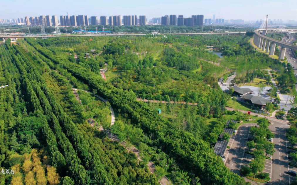 郑州蝶湖森林公园美丽景色